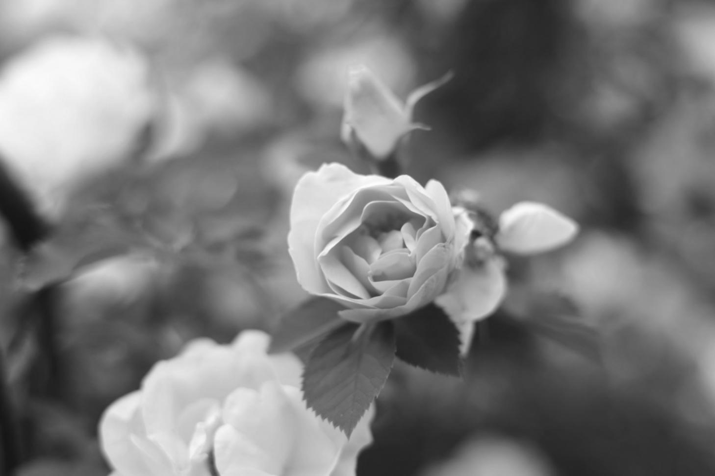 Students collaborating on game development project in Baku workspace