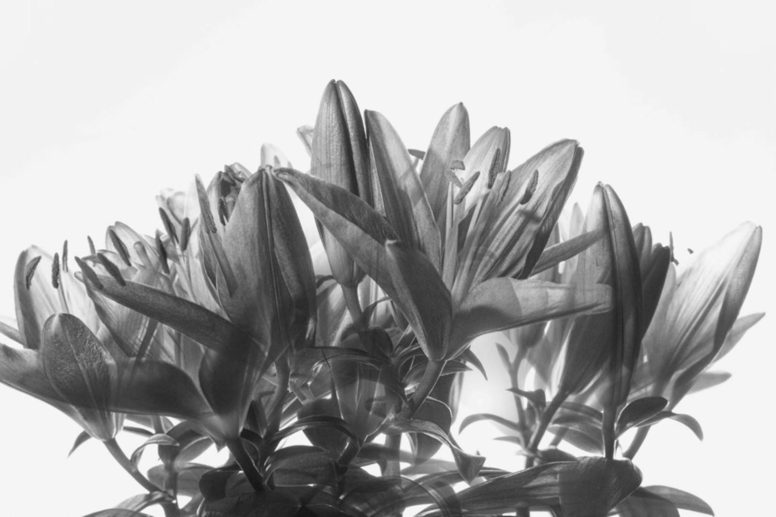 Tutoneo team collaborating on client project strategy session