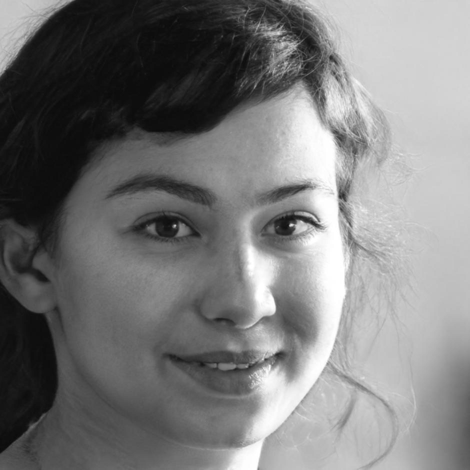 Student developer reviewing code and project documentation